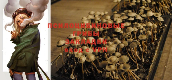 MDMA Premium VHQ Покров