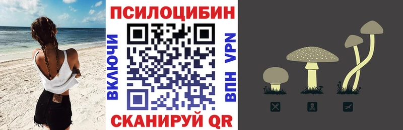 Галлюциногенные грибы Magic Shrooms  цены наркотик  Вытегра 